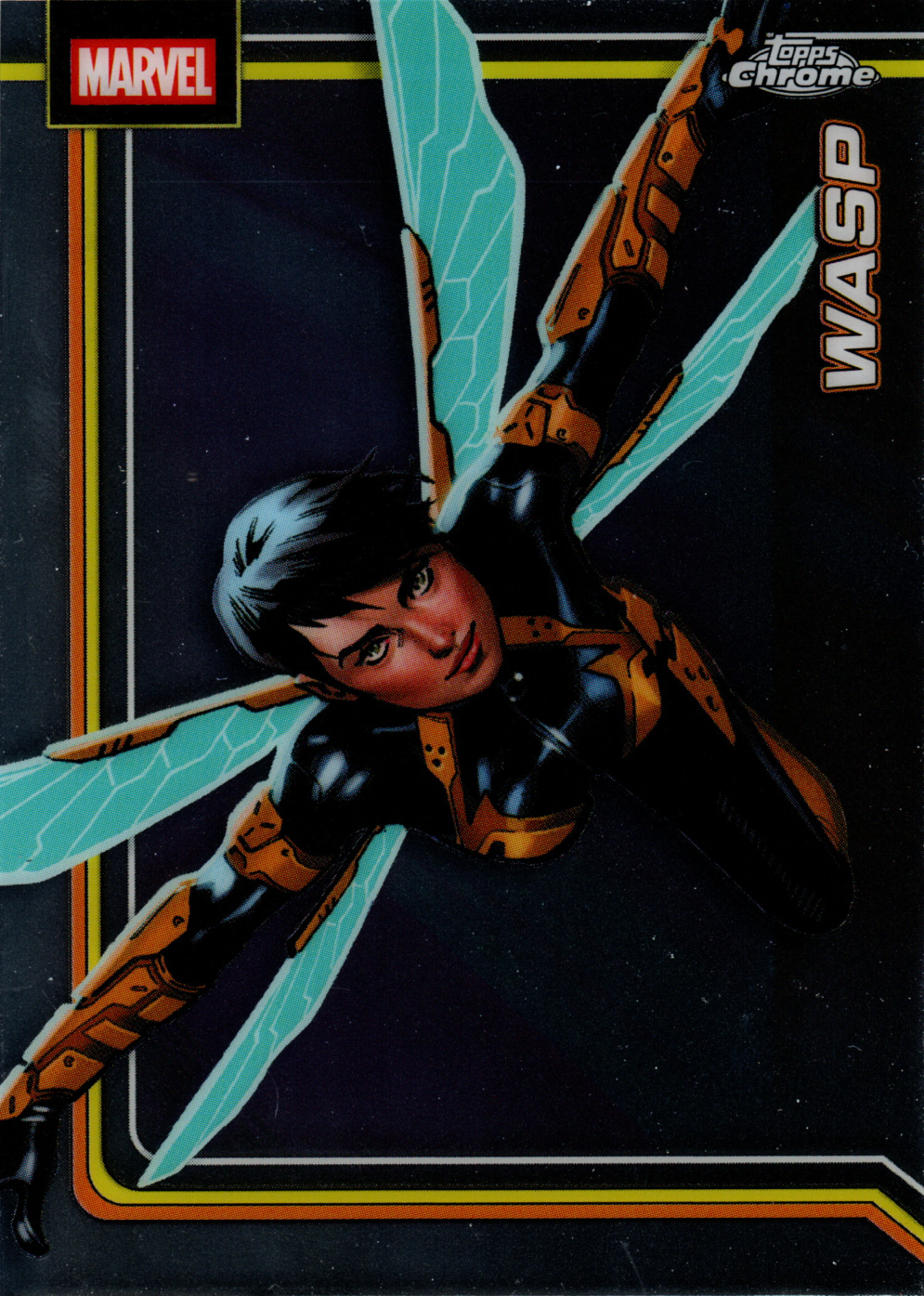 Wasp