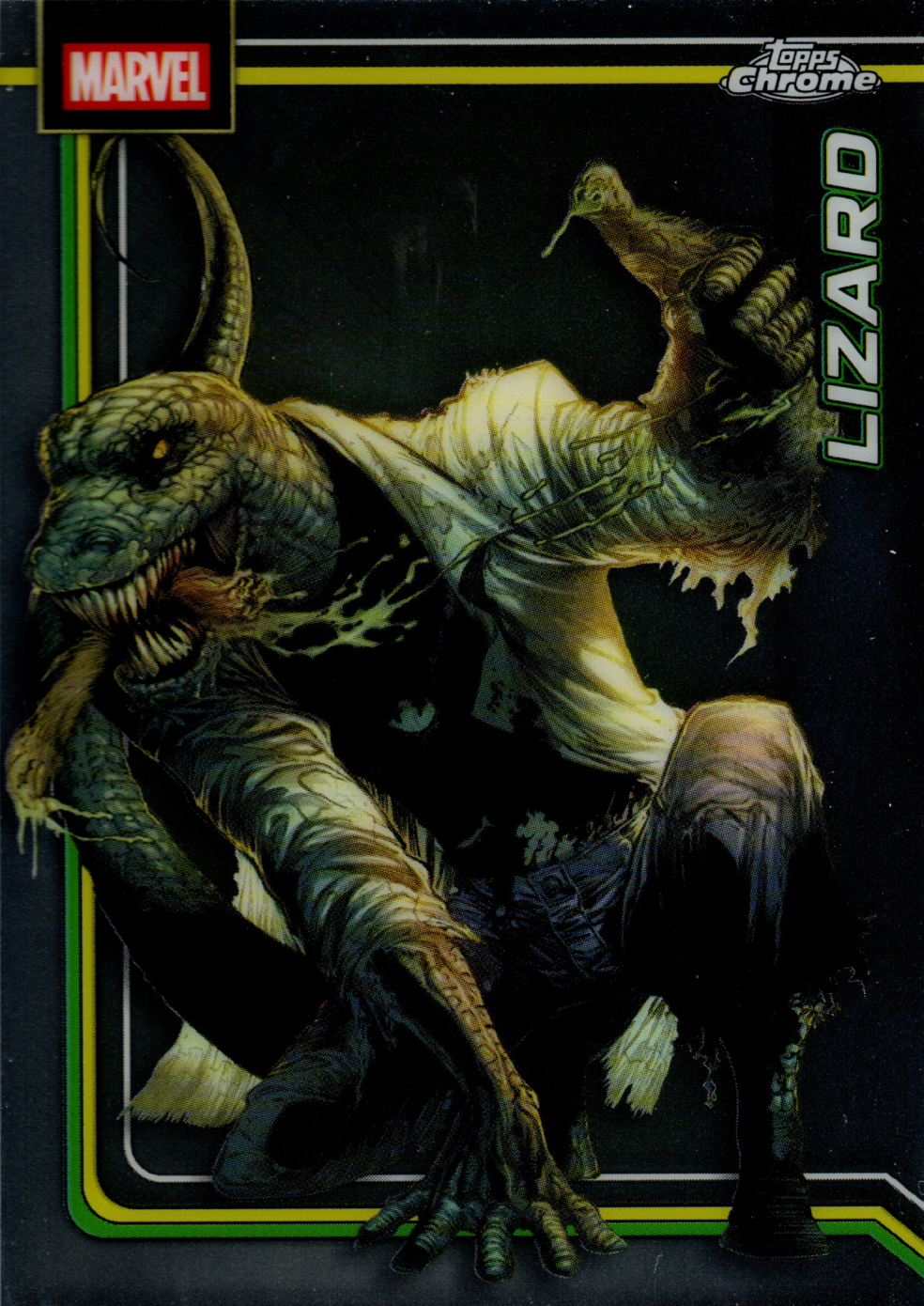 Lizard