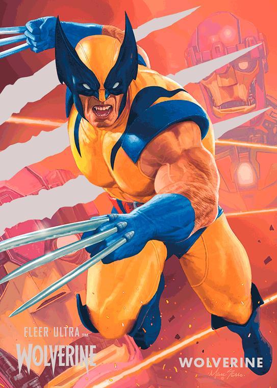 Wolverine