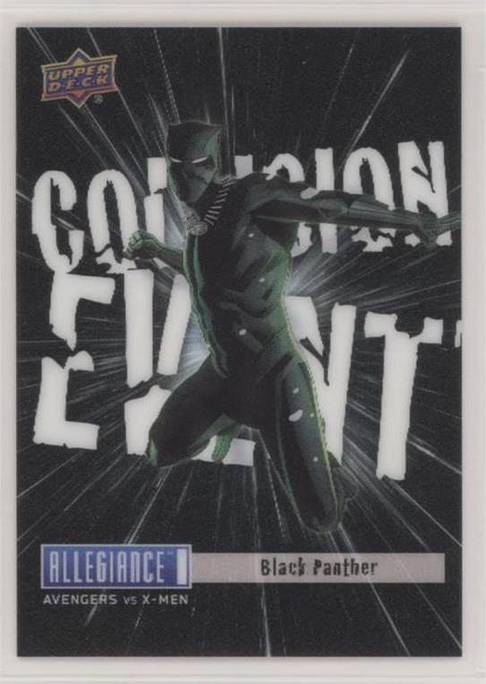 Storm vs. Black Panther