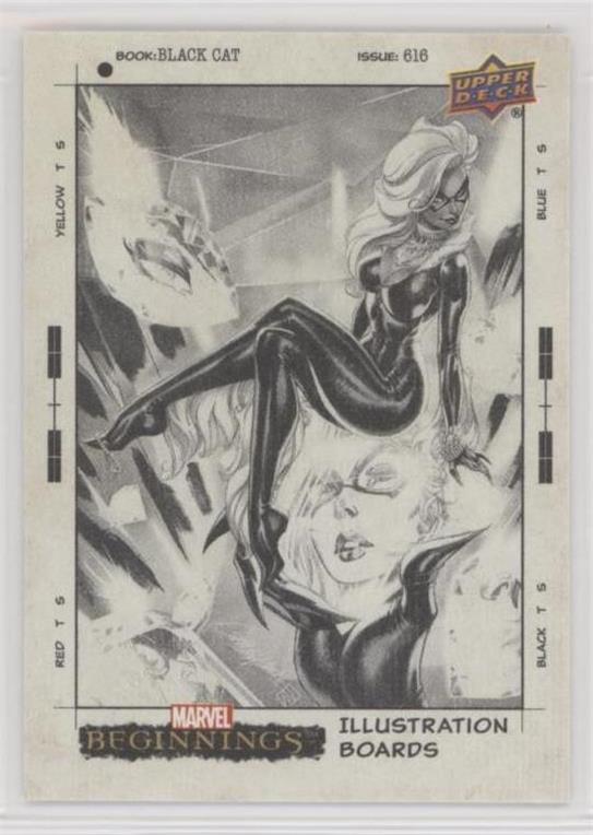 Black Cat