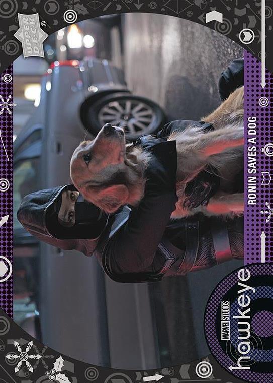 Ronin Saves a Dog