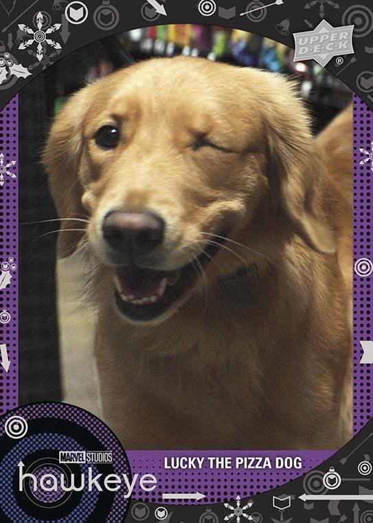 Lucky the Pizza Dog