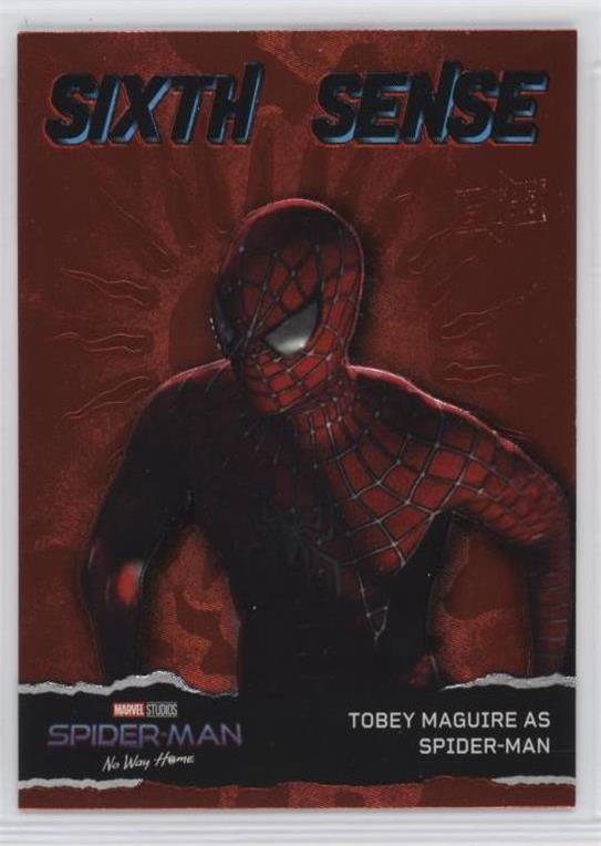Tobey Maguire as Spider-Man