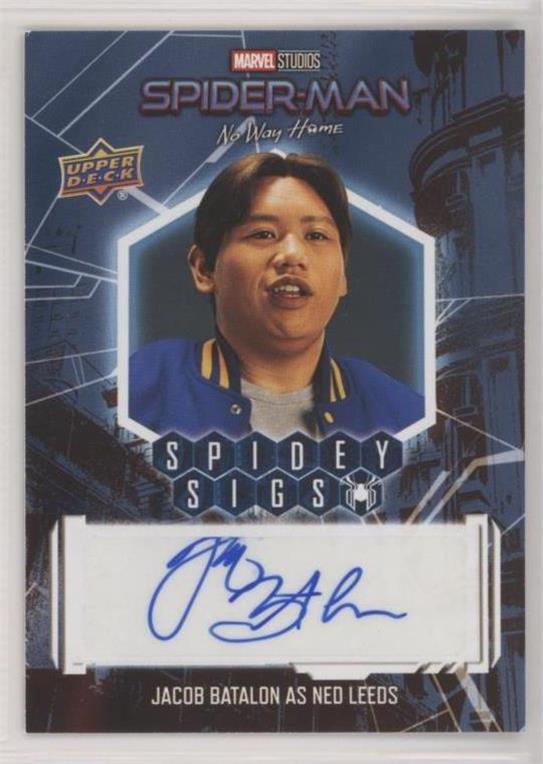 Jacob Batalon as Ned Leeds