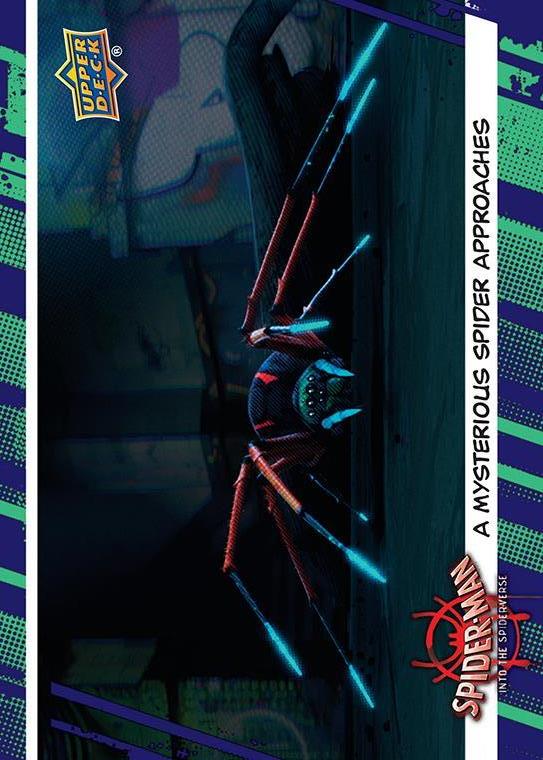 A Mysterious Spider Approaches