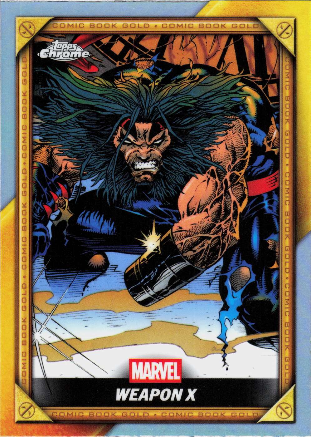 Weapon X