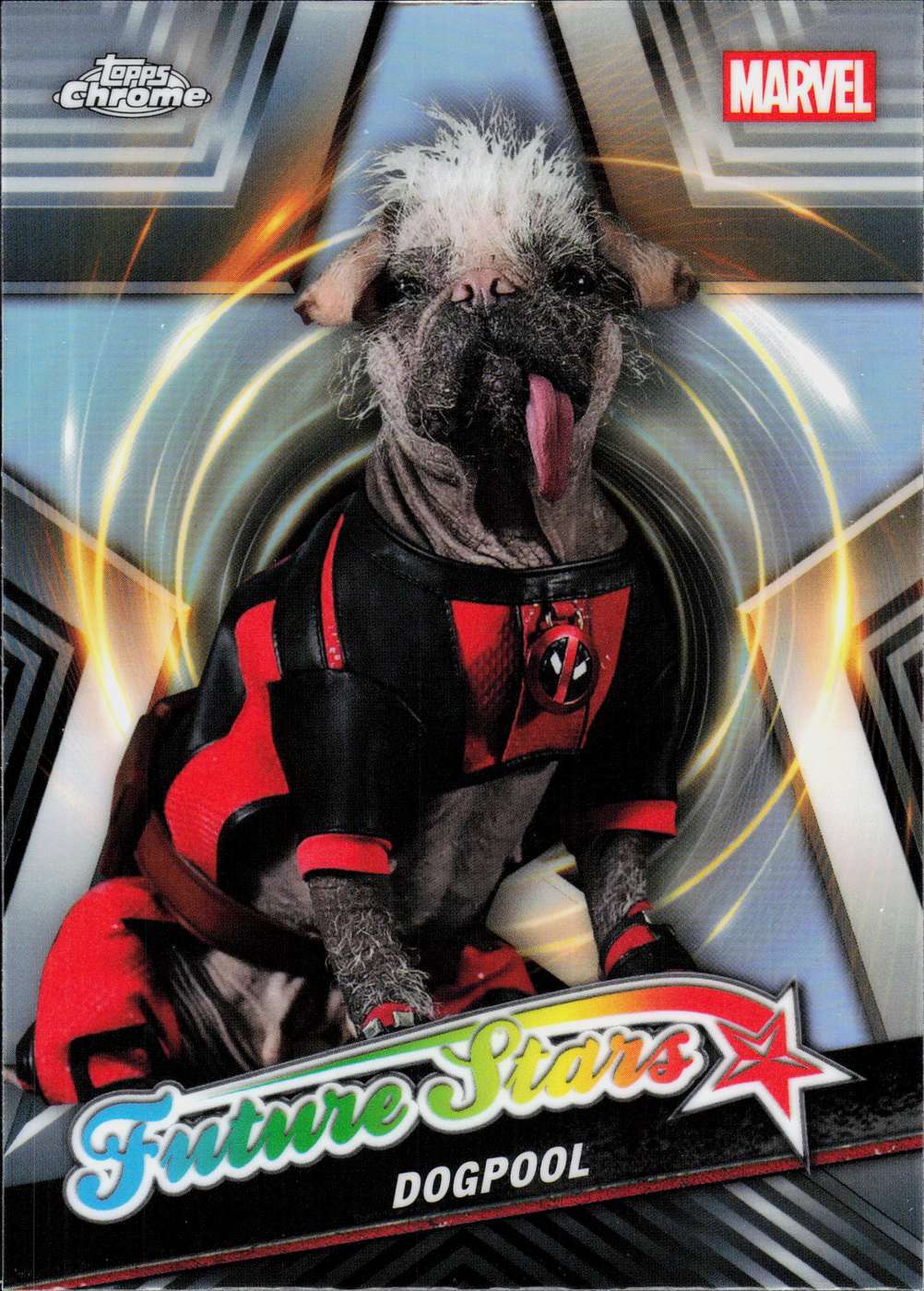 Dogpool